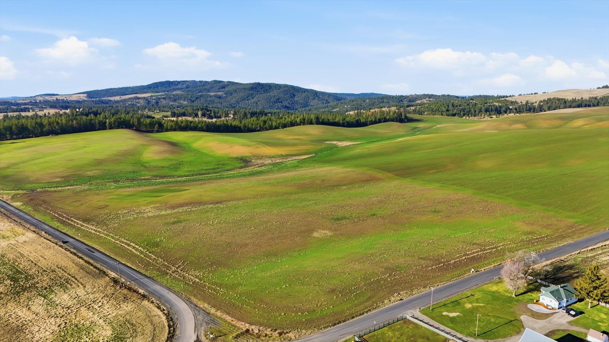 10604 South Jackson Road Mica, WA 99023 - Photo 12 of 19