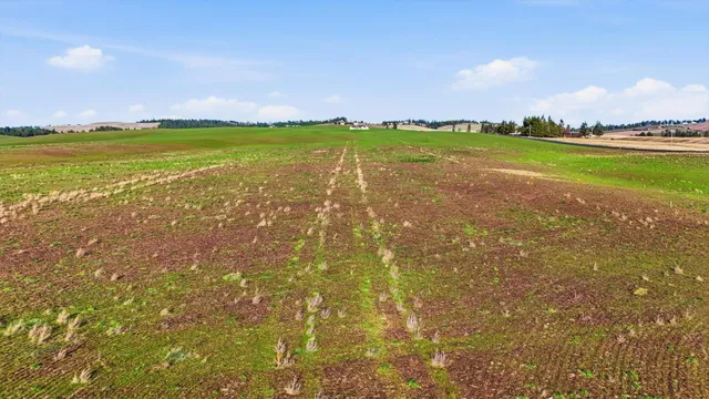 $199,500 | 10604 South Jackson Road, Mica, WA 99023