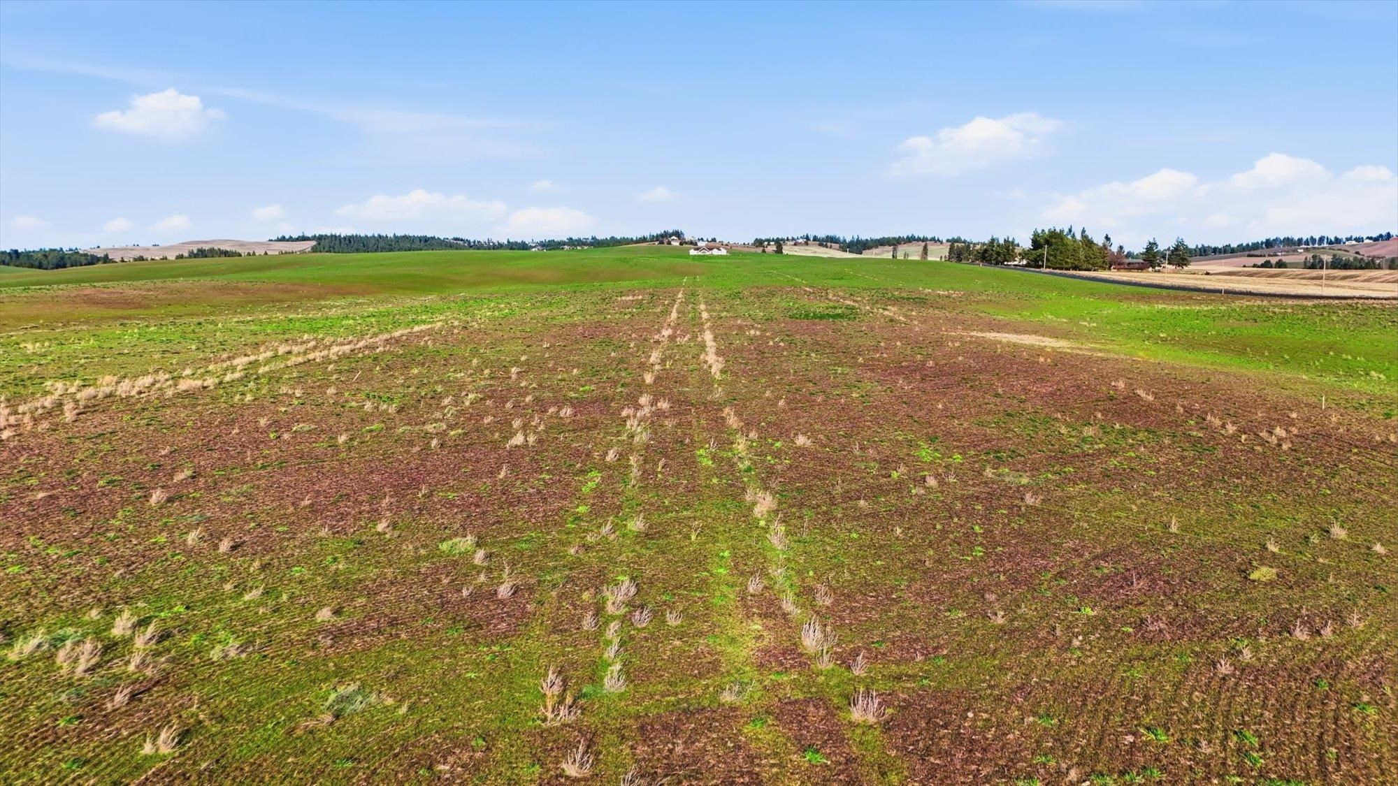 10604 South Jackson Road Mica, WA 99023 - Photo 13 of 19