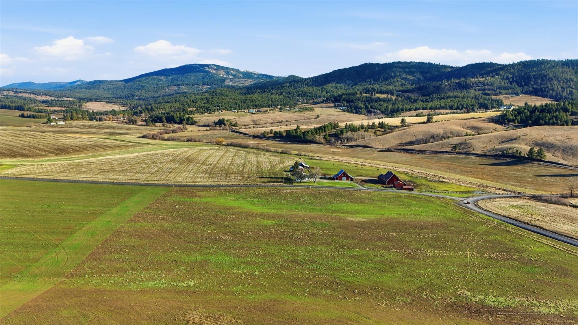 10604 South Jackson Road Mica, WA 99023 - Photo 14 of 19