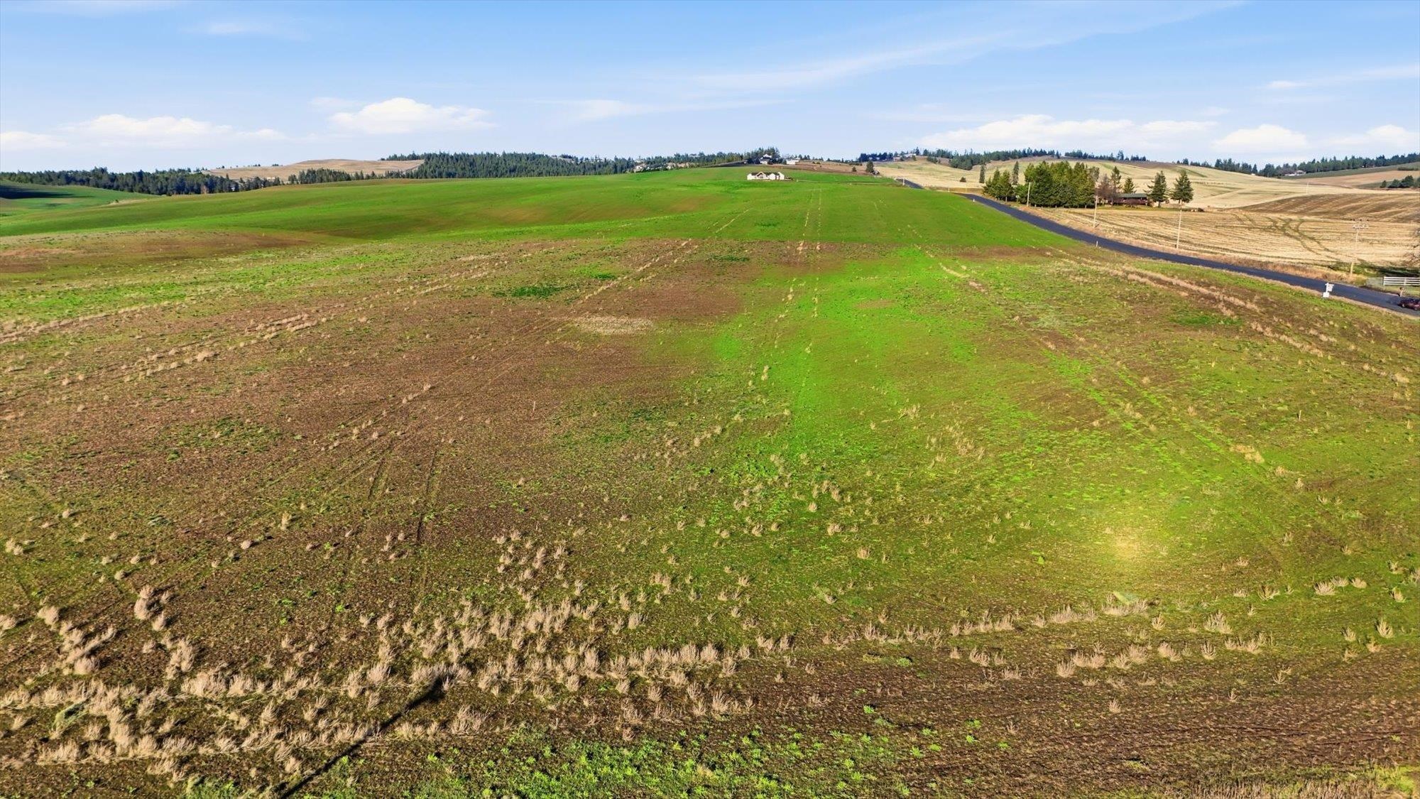 10604 South Jackson Road Mica, WA 99023 - Photo 17 of 19