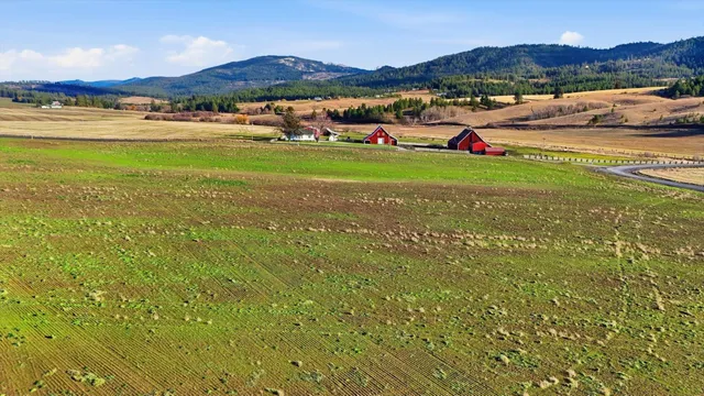 $199,500 | 10604 South Jackson Road, Mica, WA 99023