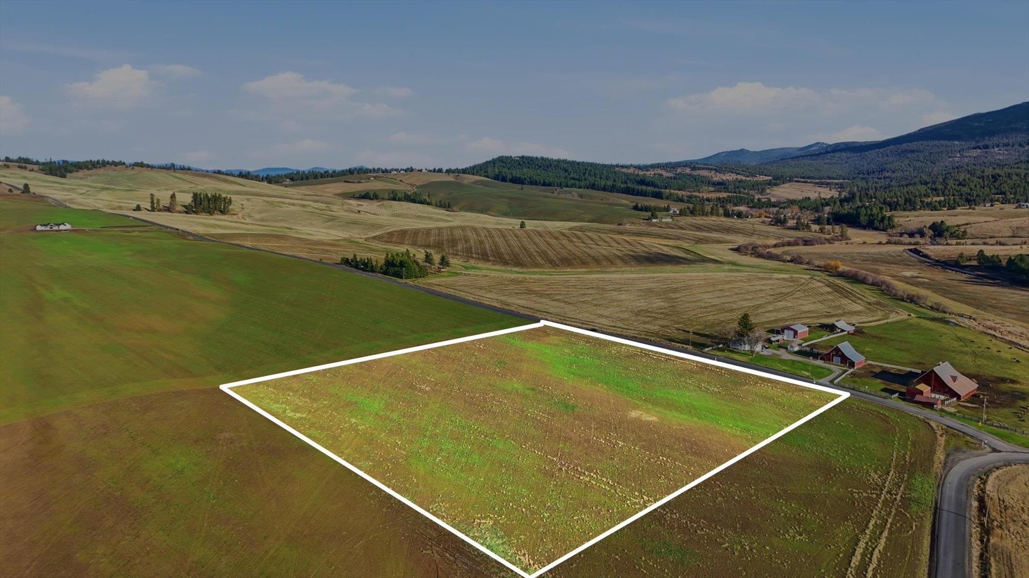 10604 South Jackson Road Mica, WA 99023 - Photo 2 of 19