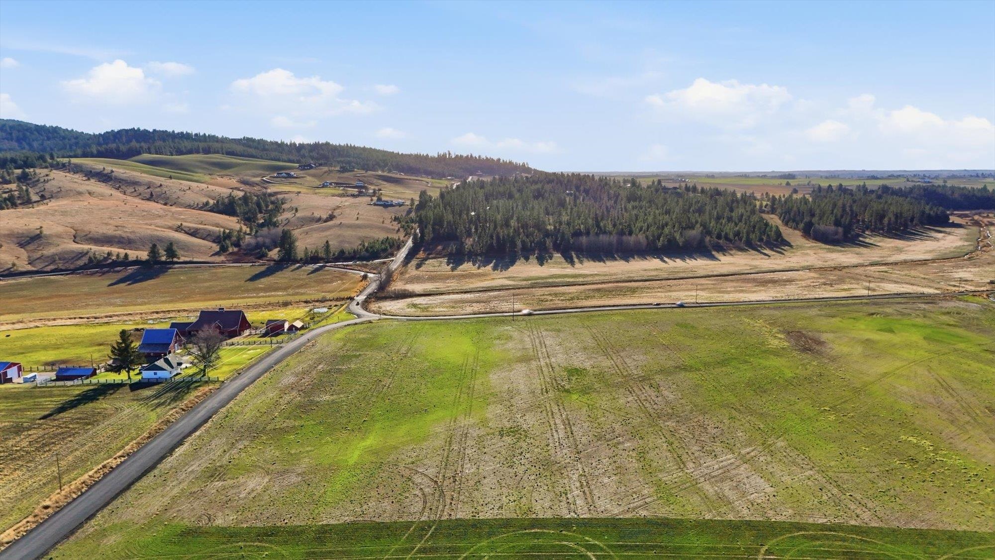 10604 South Jackson Road Mica, WA 99023 - Photo 3 of 19