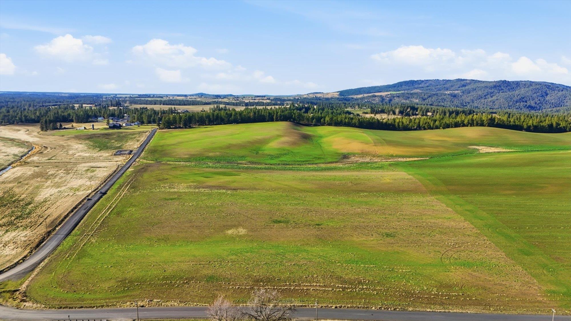 10604 South Jackson Road Mica, WA 99023 - Photo 4 of 19