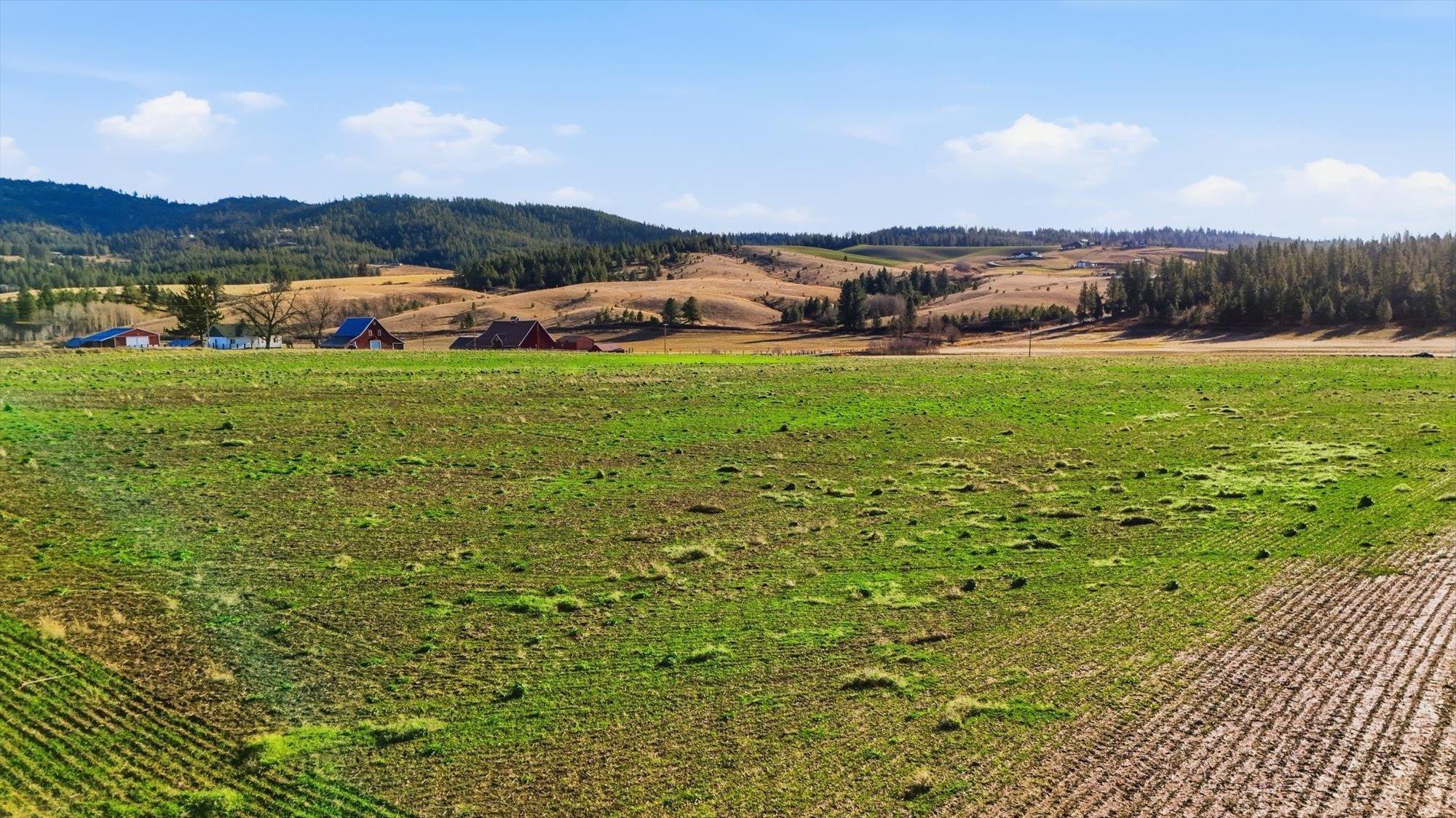 10604 South Jackson Road Mica, WA 99023 - Photo 5 of 19