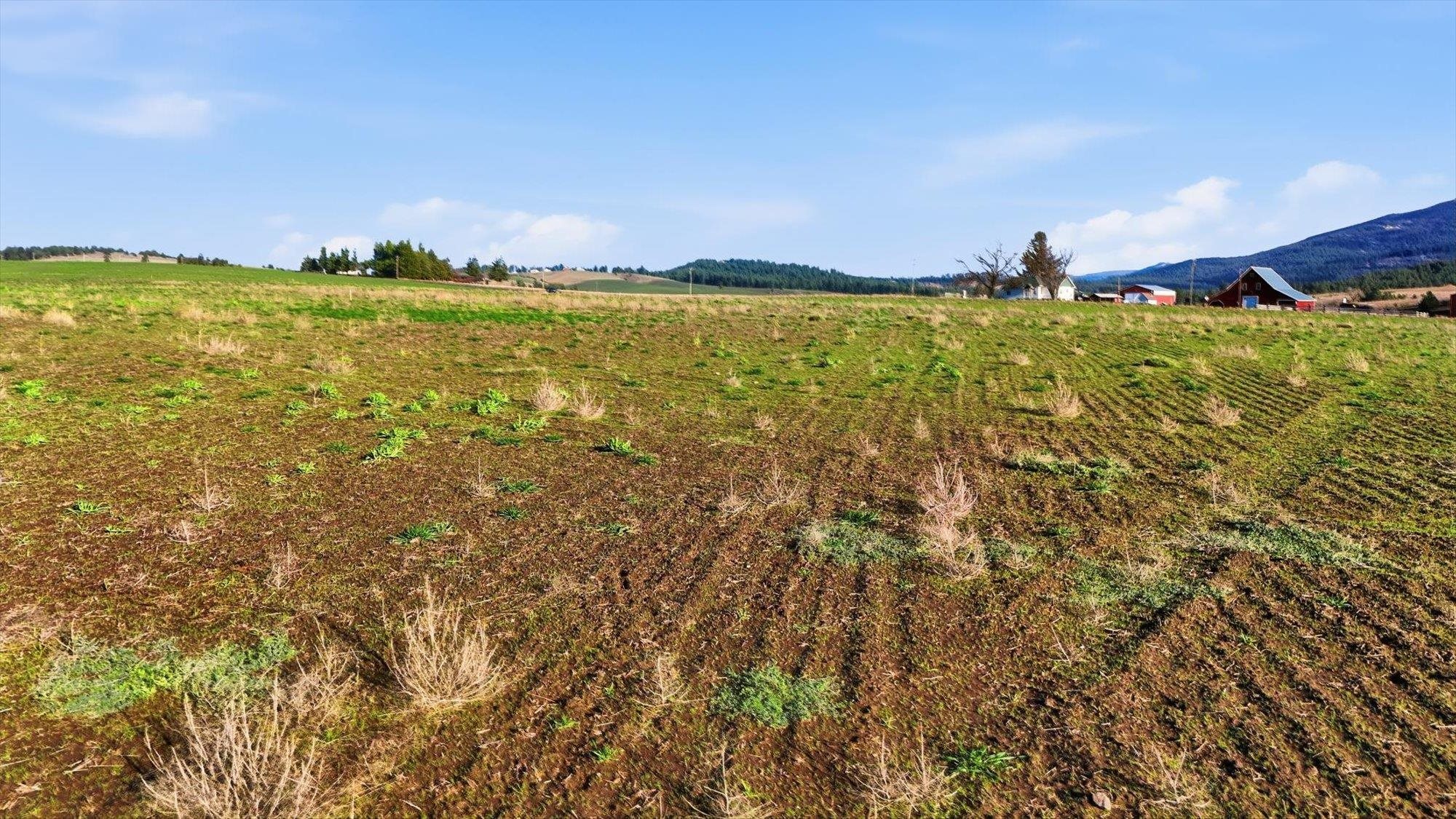 10604 South Jackson Road Mica, WA 99023 - Photo 6 of 19