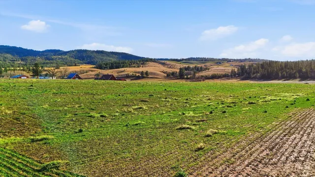 $199,500 | 10604 South Jackson Road, Mica, WA 99023