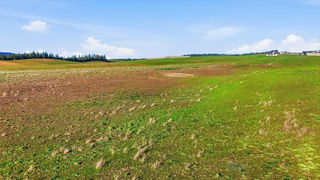 $199,500 | 10604 South Jackson Road, Mica, WA 99023