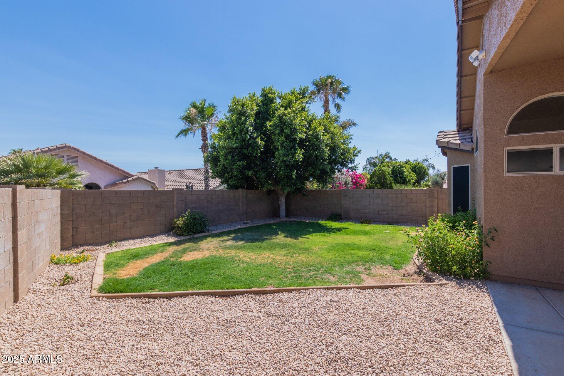 4443 East Rowel Road Phoenix, AZ 85050 - Photo 25 of 25 a view of a backyard with a garden and plants