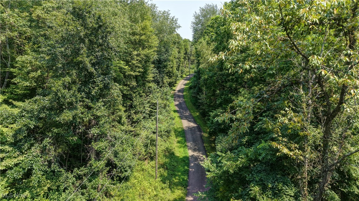 Hunter Road Danville, OH 43014 - Photo 5 of 6 Aerial view of a heavily wooded area