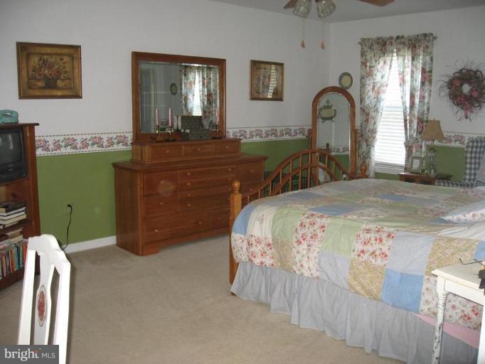 313 Kalorama Road Sykesville, MD 21784 - Photo 16 of 22 Master Bedroom