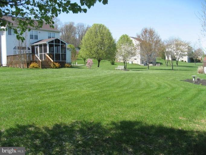 Back yard