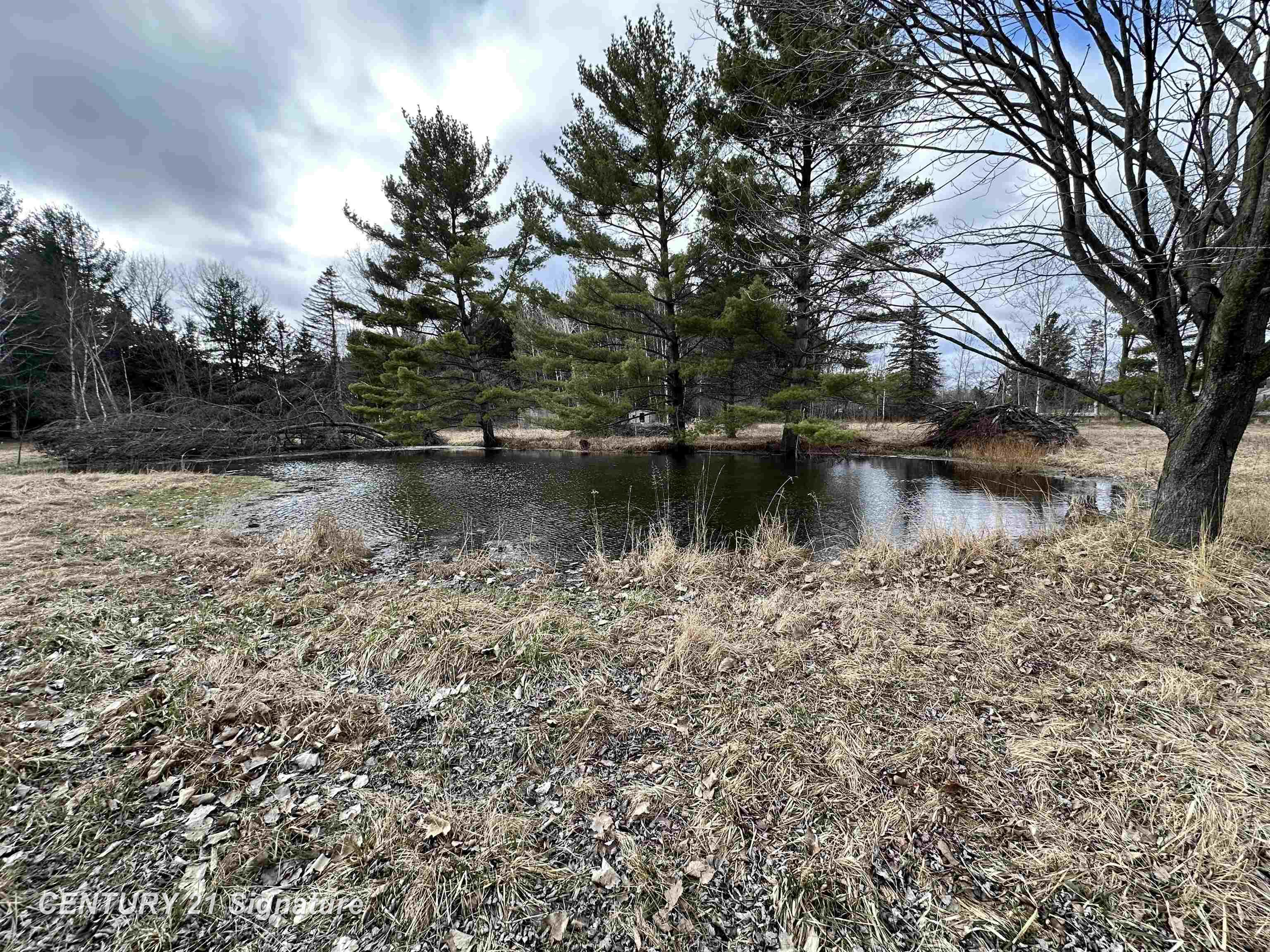 5212 Ellison Road Sterling, MI 48659 - Photo 18 of 18
