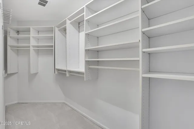 a view of walk in closet with empty racks