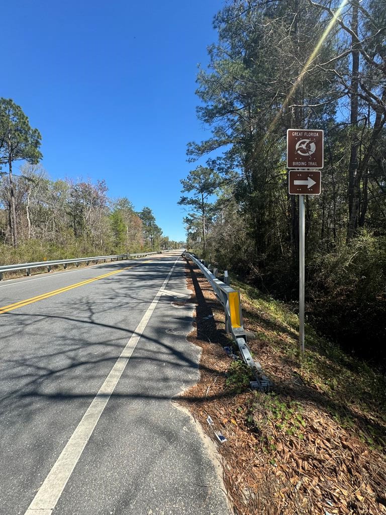 159 South Murphy Road Wewahitchka, FL 32465 - Photo 26 of 31