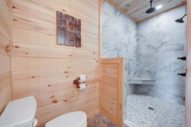 a bathroom with a toilet and a shower