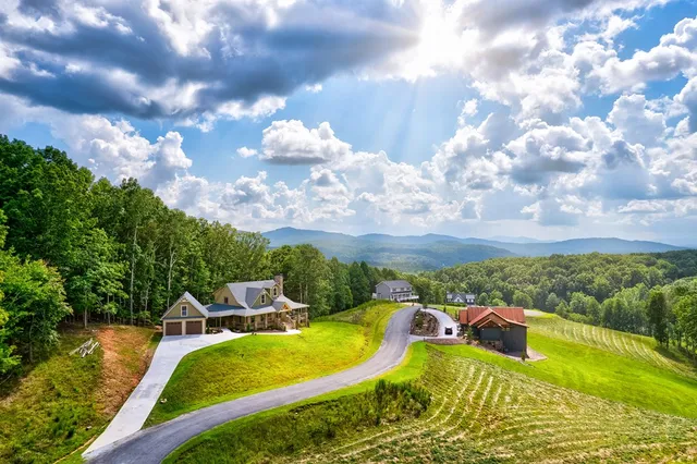 a view of a swimming pool with a yard