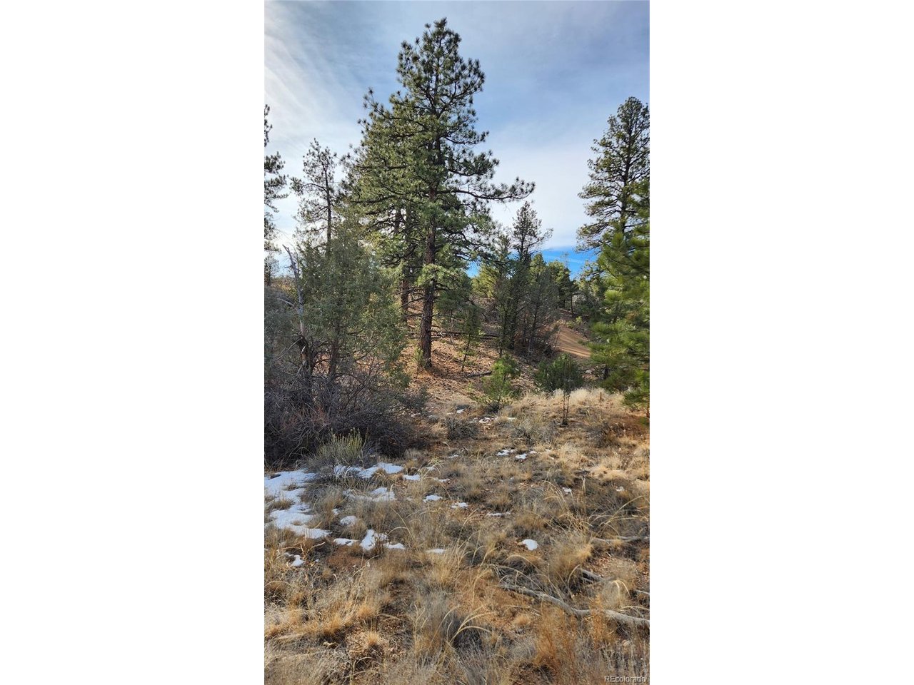 7th Trail Cotopaxi, CO 81223 - Photo 14 of 50 a picture of a door in front of a house
