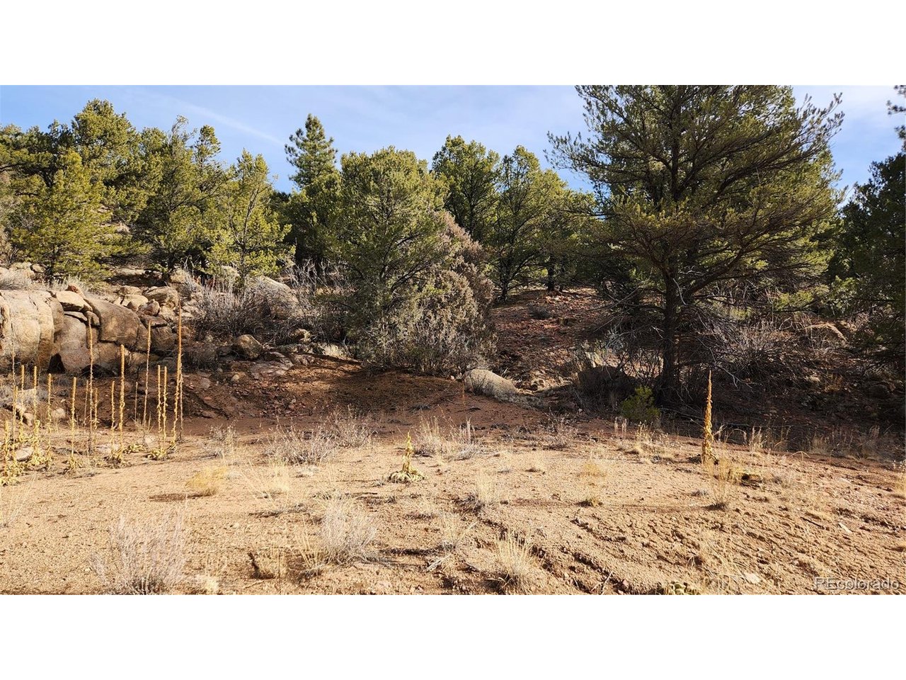 7th Trail Cotopaxi, CO 81223 - Photo 15 of 50