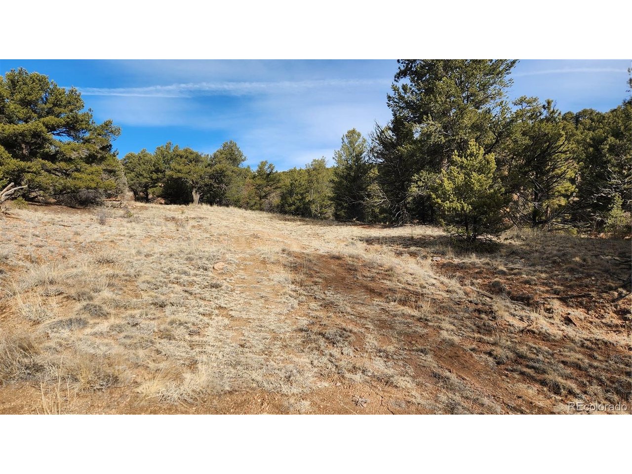 7th Trail Cotopaxi, CO 81223 - Photo 16 of 50 a open area with mountains in the background
