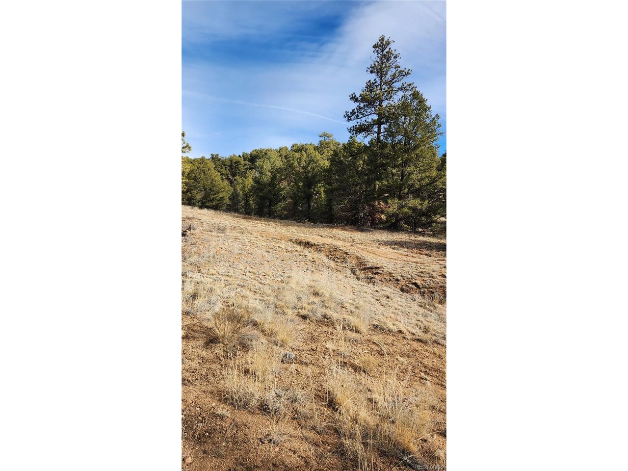 7th Trail Cotopaxi, CO 81223 - Photo 17 of 50 a picture of a door in front of a house