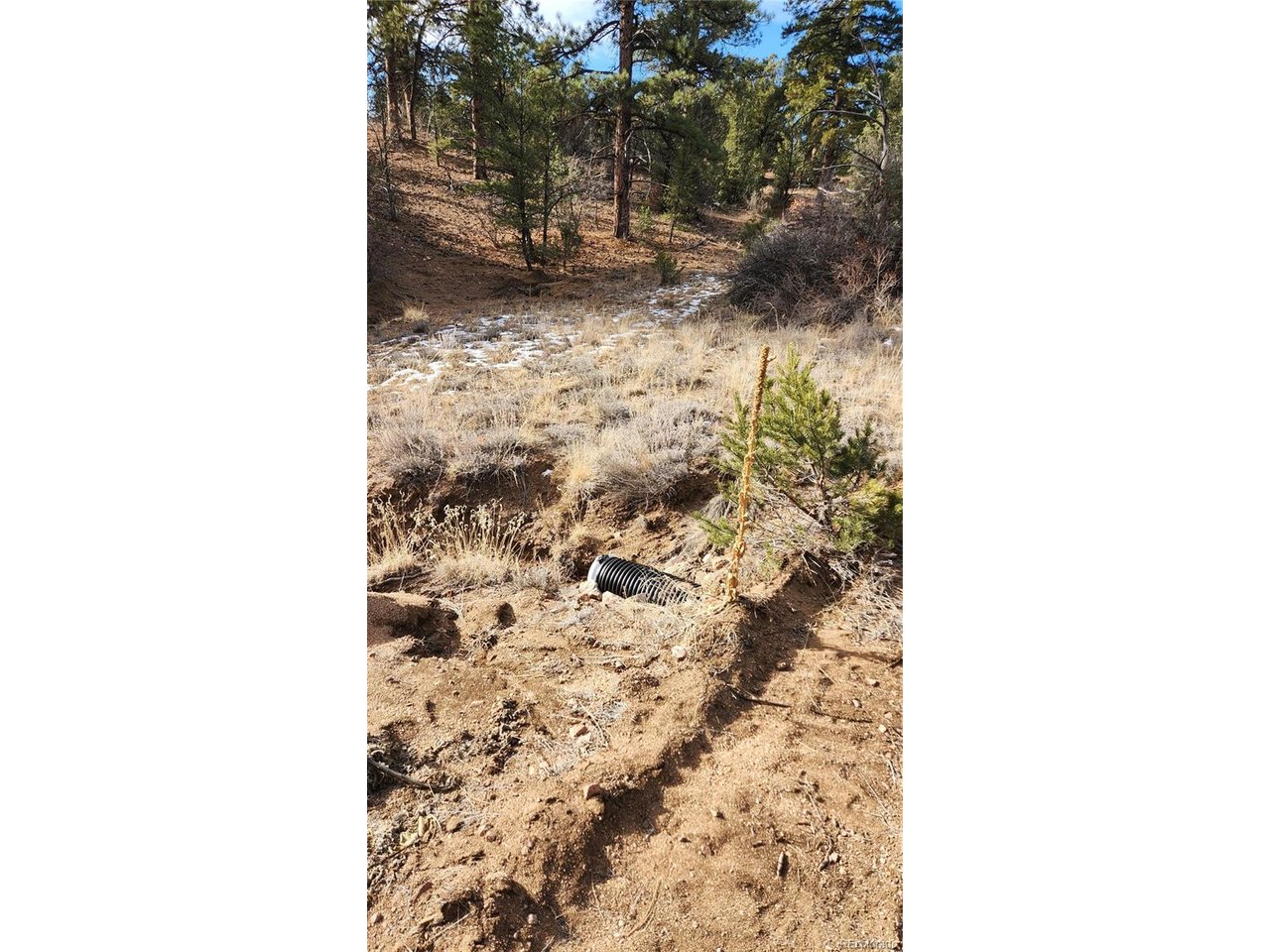 7th Trail Cotopaxi, CO 81223 - Photo 20 of 50 a picture of a bathroom with a shower curtain