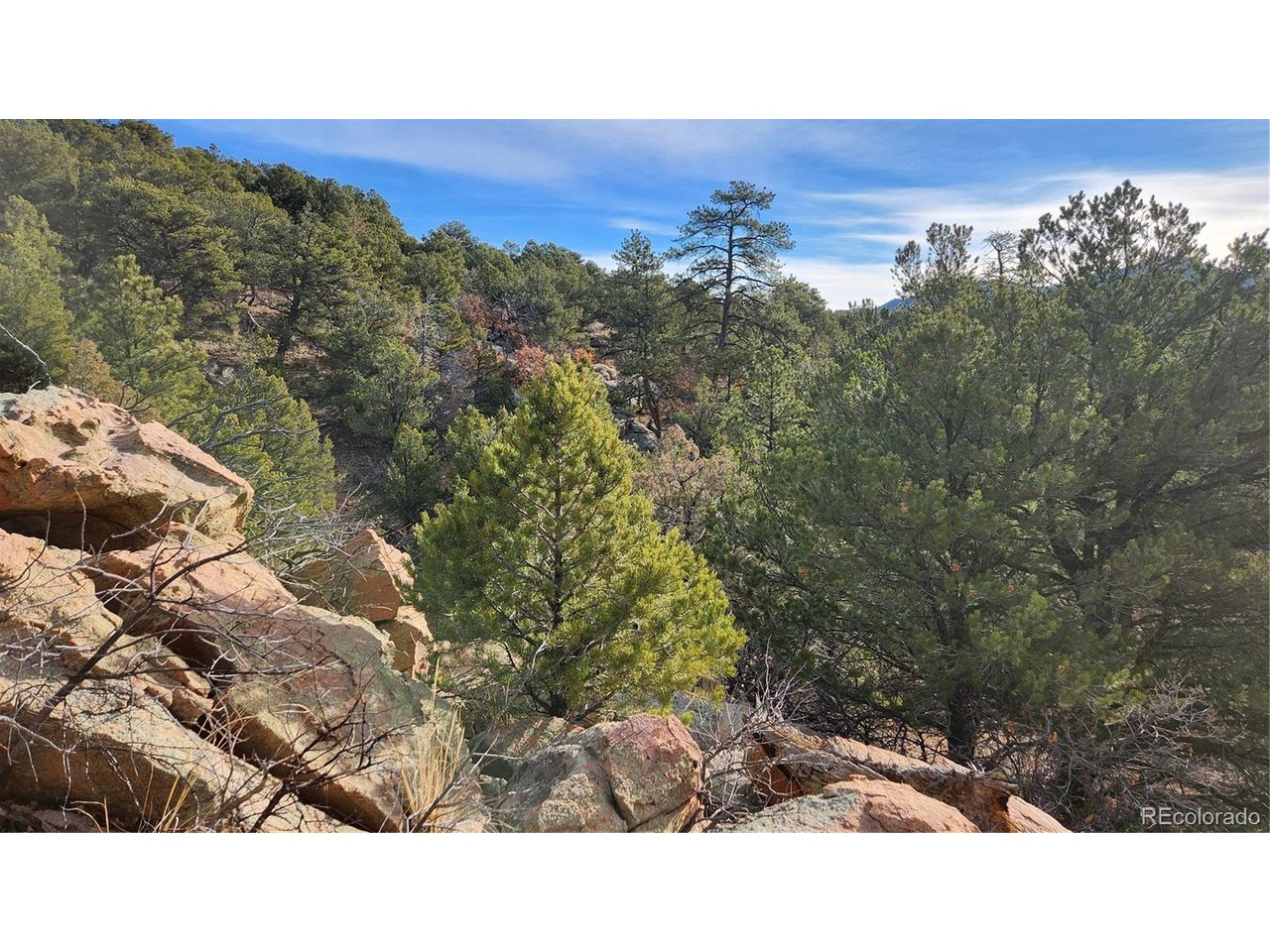 7th Trail Cotopaxi, CO 81223 - Photo 2 of 50 a black and white photo of a forest