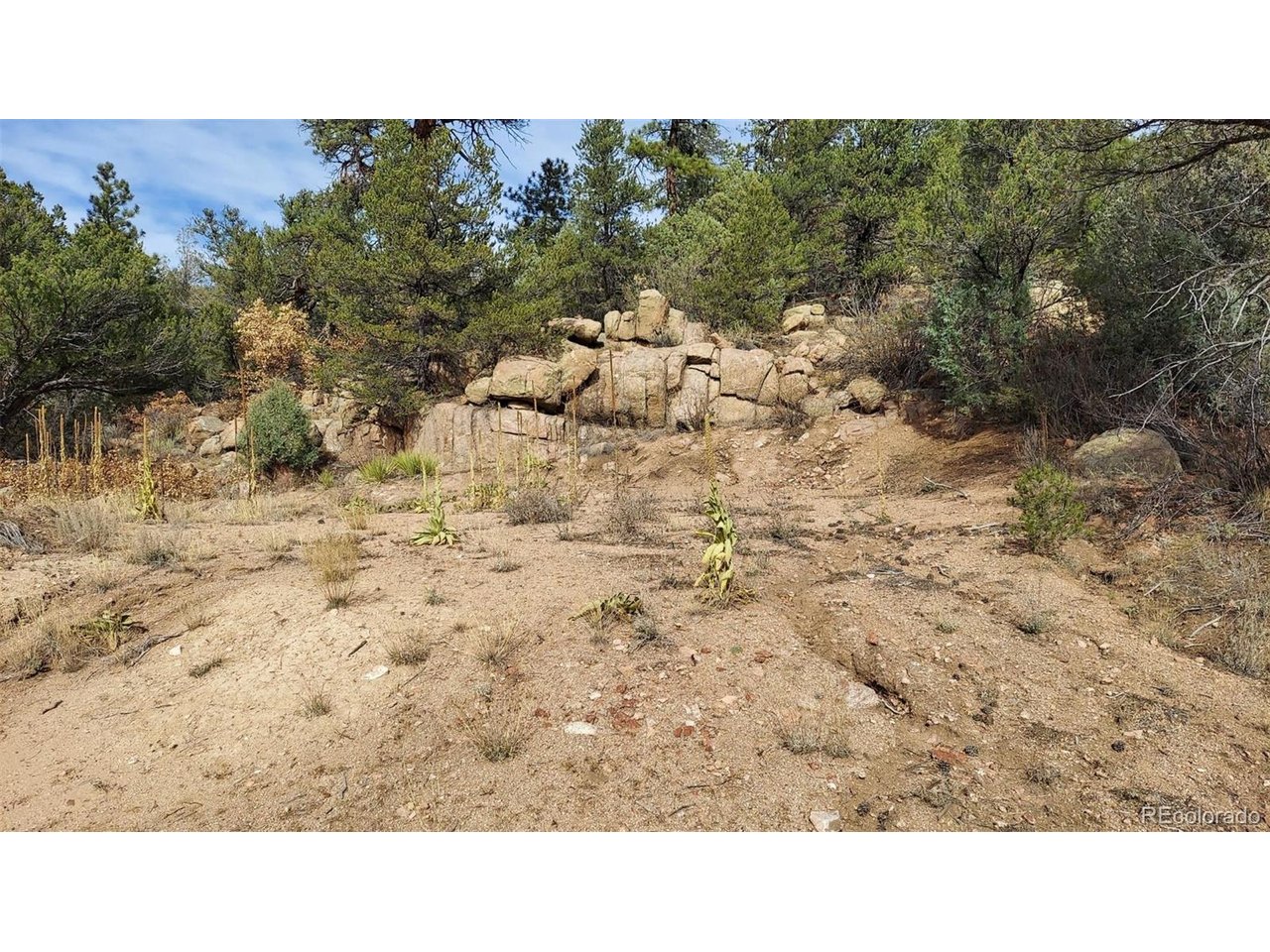 7th Trail Cotopaxi, CO 81223 - Photo 21 of 50 a open area with trees in the background