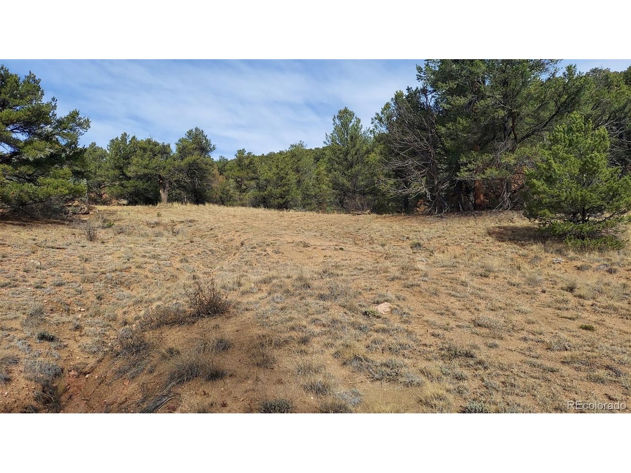 7th Trail Cotopaxi, CO 81223 - Photo 22 of 50 a black and white photo of a field