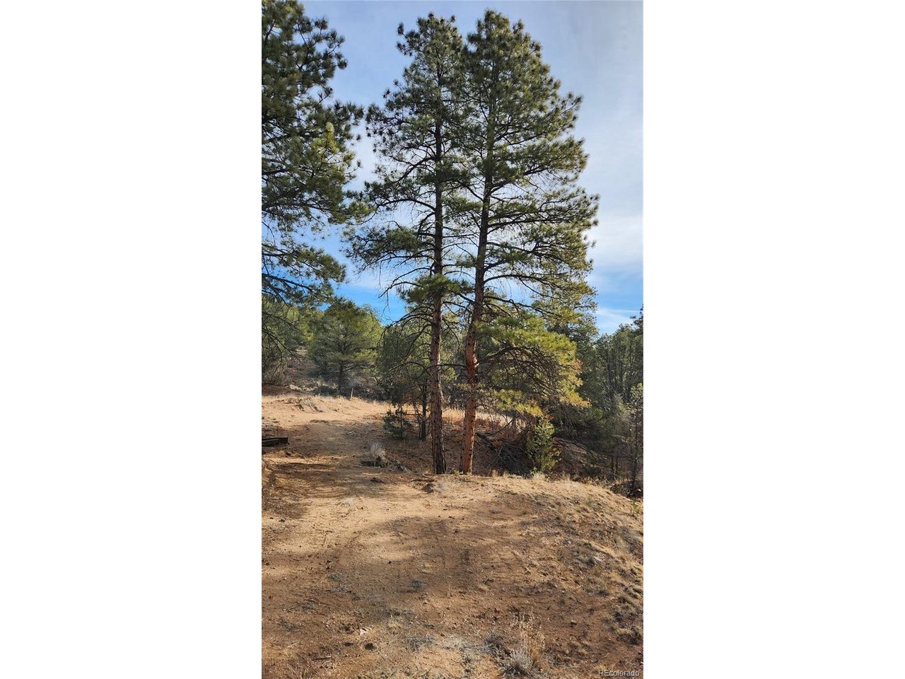 7th Trail Cotopaxi, CO 81223 - Photo 23 of 50 a picture of a door in front of a house