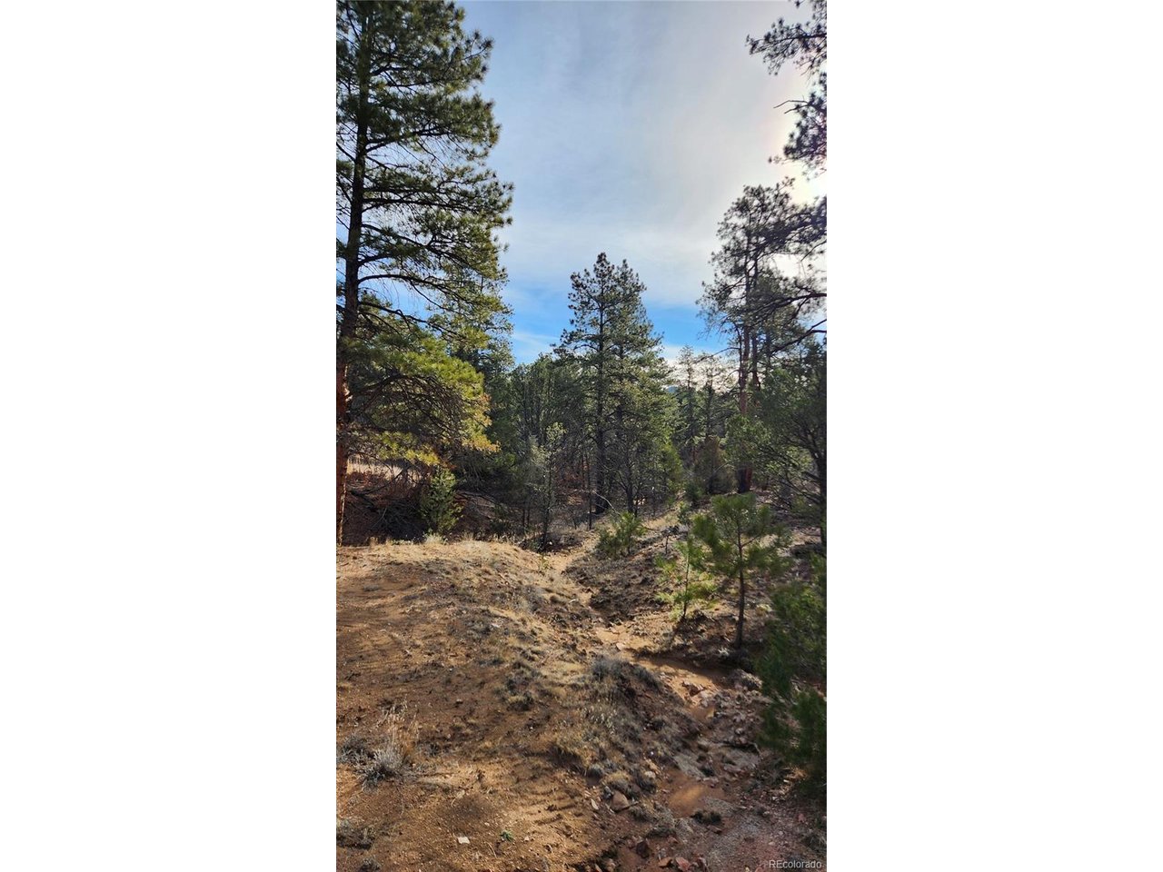 7th Trail Cotopaxi, CO 81223 - Photo 24 of 50 a picture of a small yard