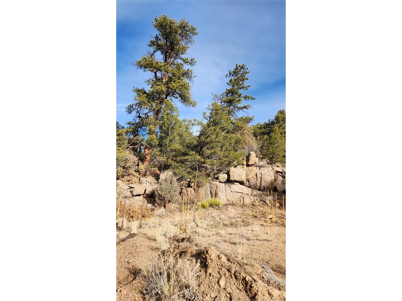 7th Trail Cotopaxi, CO 81223 - Photo 25 of 50