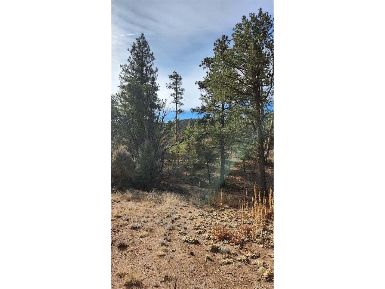 7th Trail Cotopaxi, CO 81223 - Photo 26 of 50 a bathroom with a shower