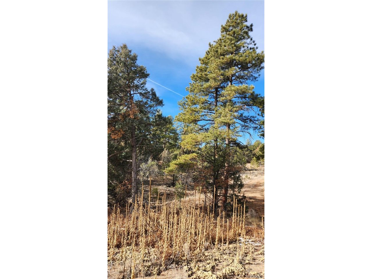 7th Trail Cotopaxi, CO 81223 - Photo 27 of 50 a picture of a bathroom with a shower curtain