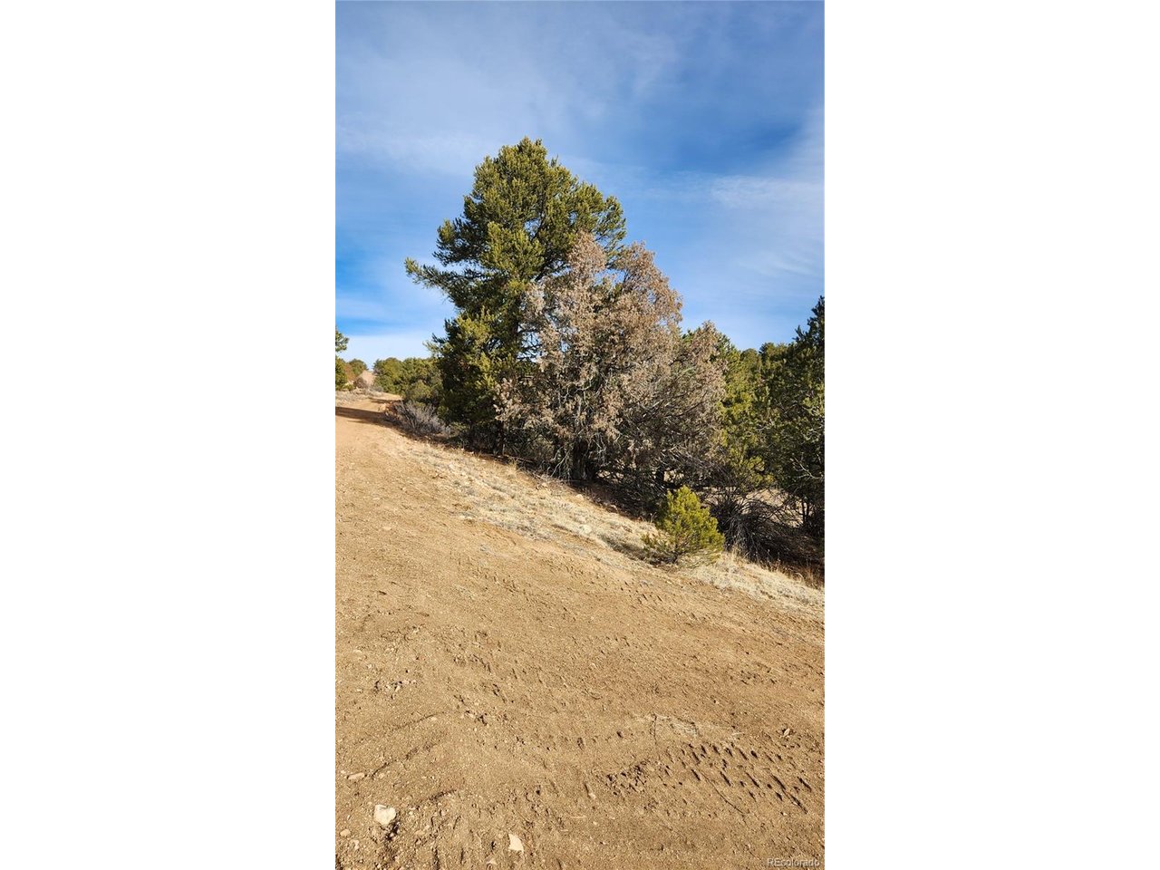 7th Trail Cotopaxi, CO 81223 - Photo 30 of 50 a view of a room