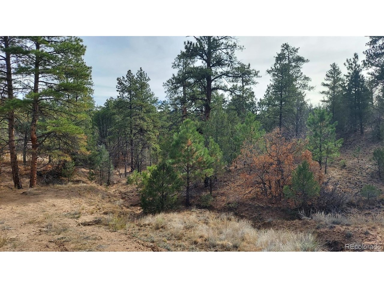 7th Trail Cotopaxi, CO 81223 - Photo 31 of 50 a black and white photo of a house