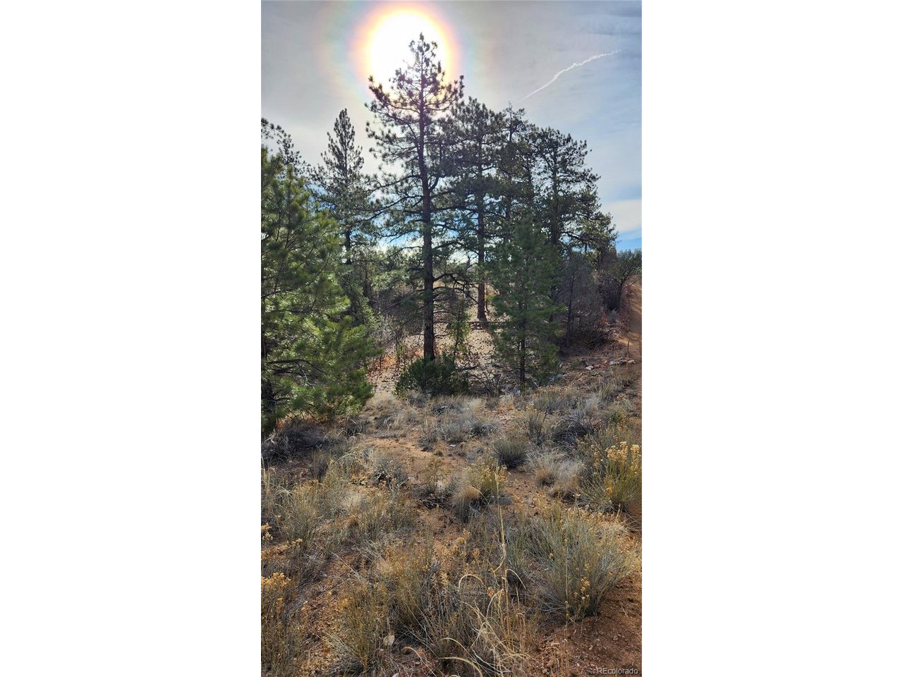 7th Trail Cotopaxi, CO 81223 - Photo 32 of 50