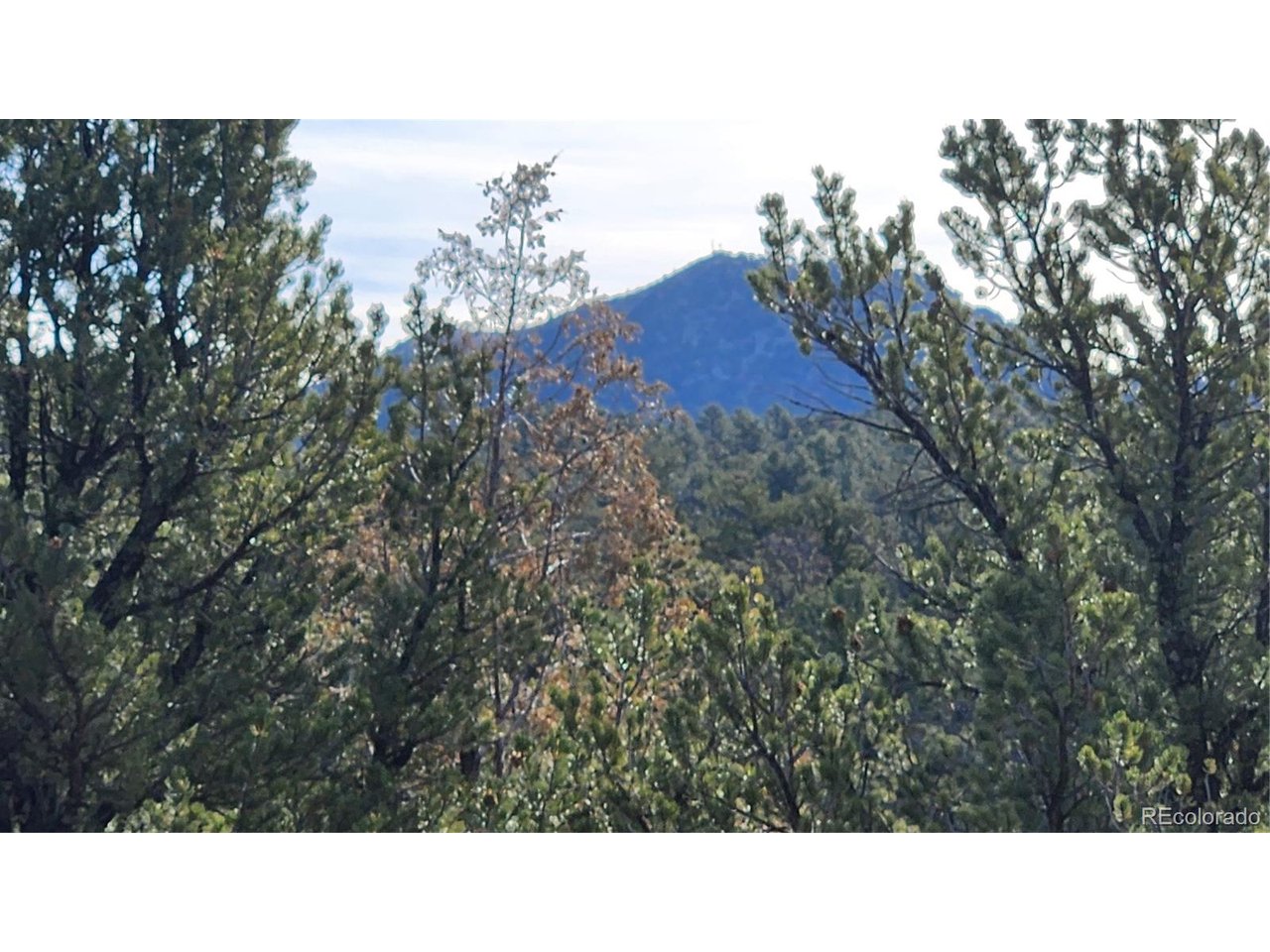 7th Trail Cotopaxi, CO 81223 - Photo 33 of 50 a black and white photo of a house