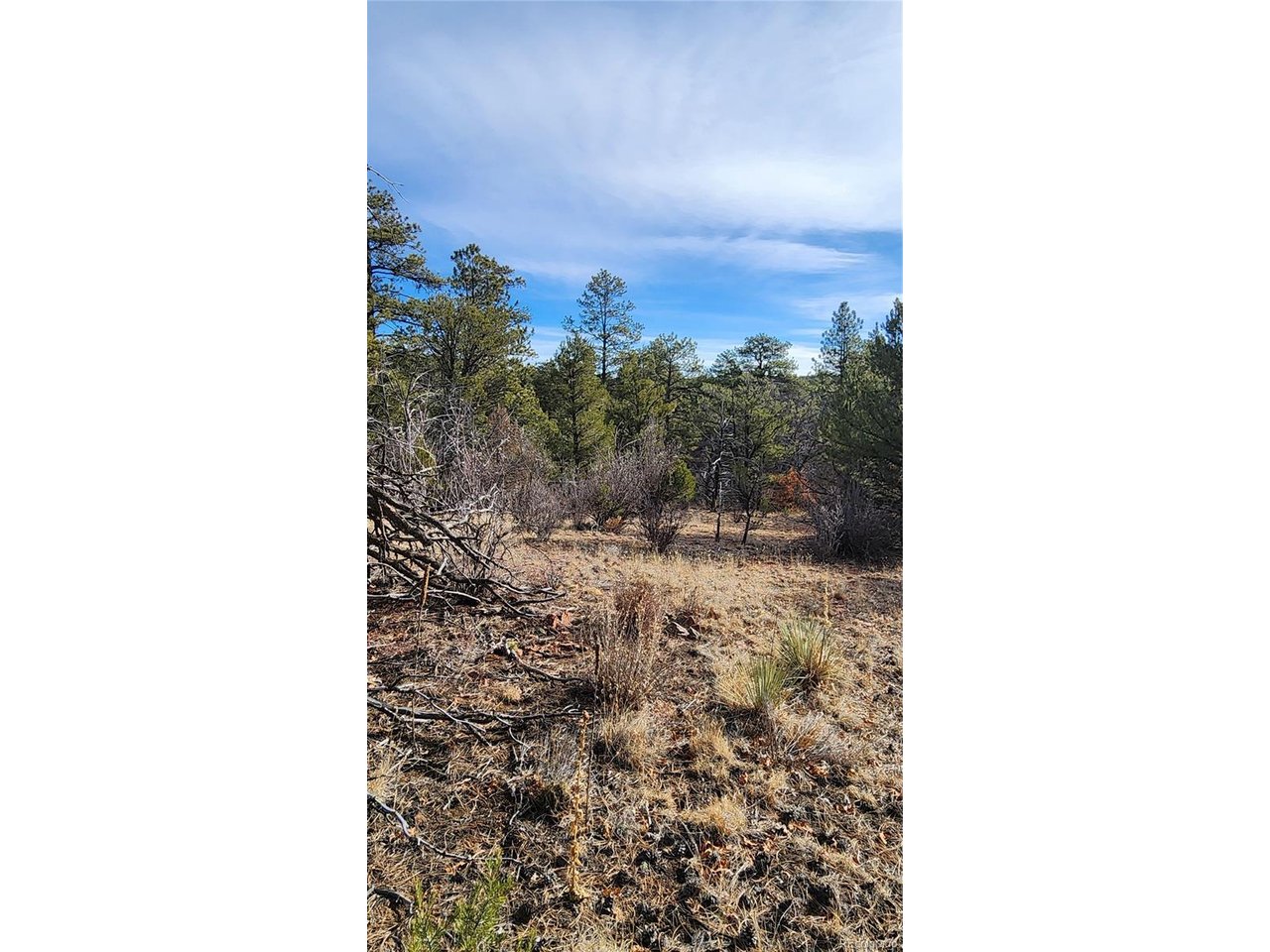 7th Trail Cotopaxi, CO 81223 - Photo 34 of 50 a bathroom with a sink and a mirror
