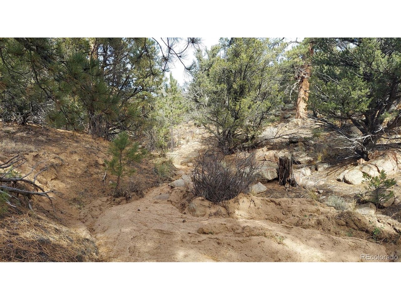 7th Trail Cotopaxi, CO 81223 - Photo 38 of 50 a black and white photo of a house