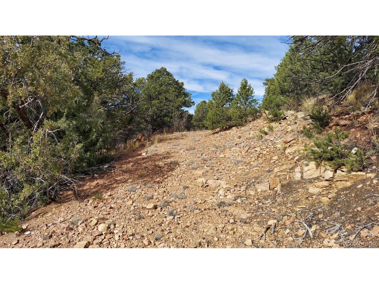 7th Trail Cotopaxi, CO 81223 - Photo 41 of 50 a black and white photo of a field