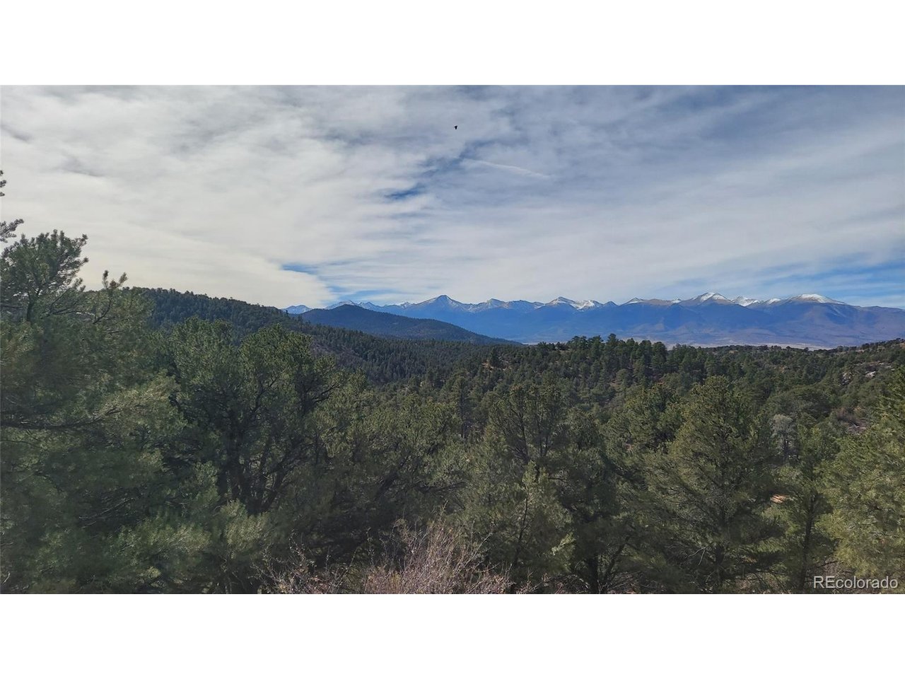 7th Trail Cotopaxi, CO 81223 - Photo 42 of 50 a black and white photo of a forest
