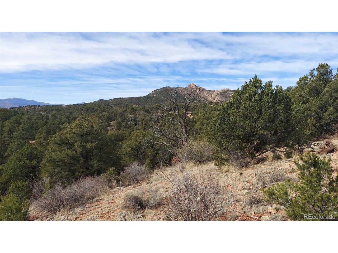7th Trail Cotopaxi, CO 81223 - Photo 44 of 50 a black and white photo of a field