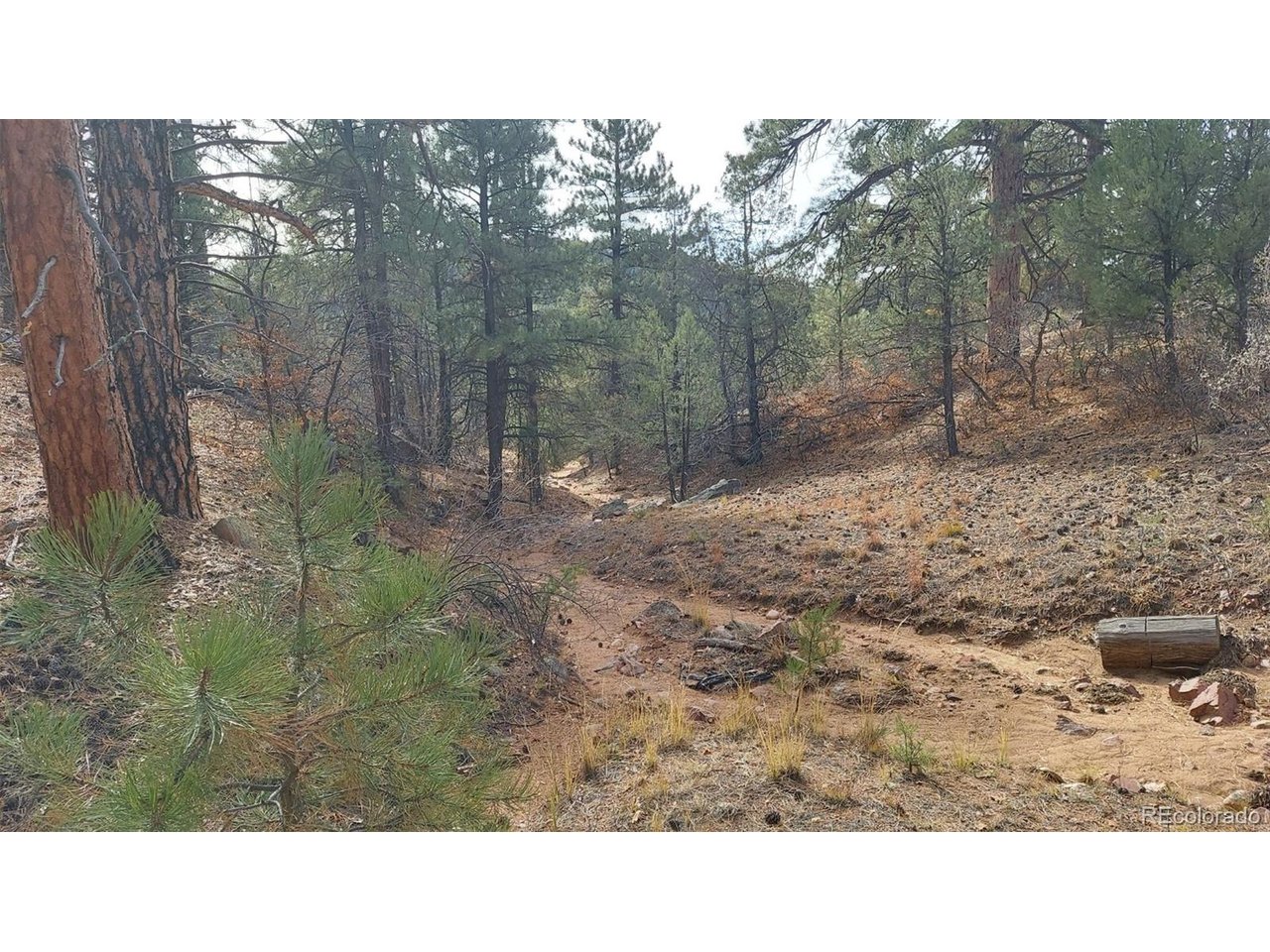7th Trail Cotopaxi, CO 81223 - Photo 46 of 50 a open area with trees