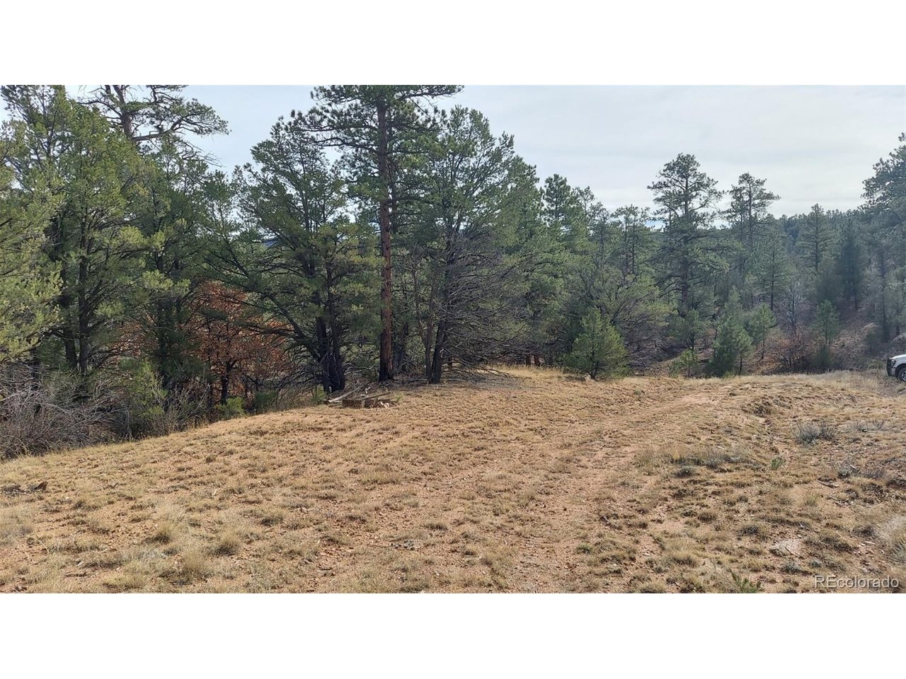 7th Trail Cotopaxi, CO 81223 - Photo 48 of 50 a outdoor view