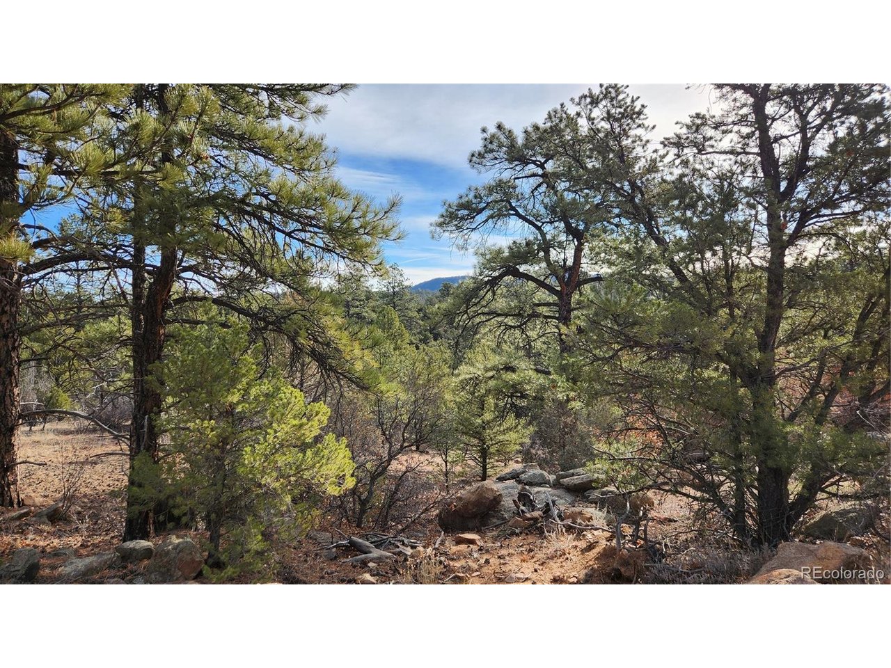 7th Trail Cotopaxi, CO 81223 - Photo 5 of 50 a black and white photo of a house