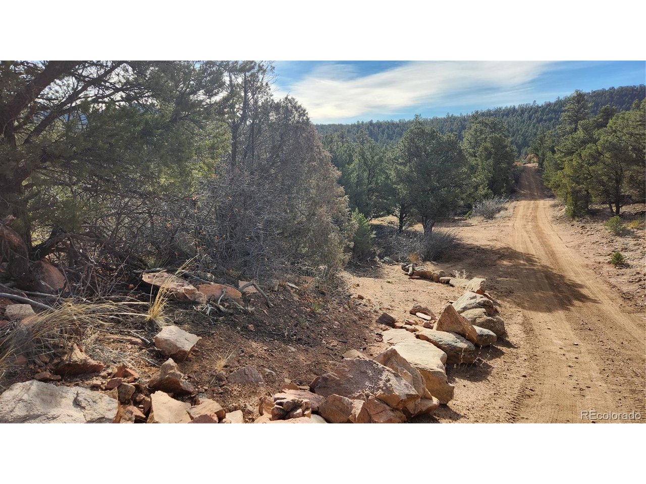7th Trail Cotopaxi, CO 81223 - Photo 6 of 50 a black and white photo of a forest