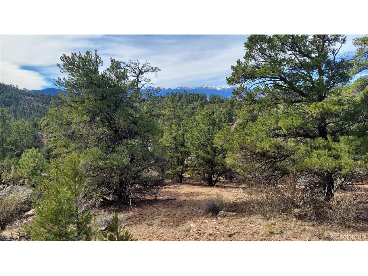 7th Trail Cotopaxi, CO 81223 - Photo 9 of 50 a black and white photo of a forest