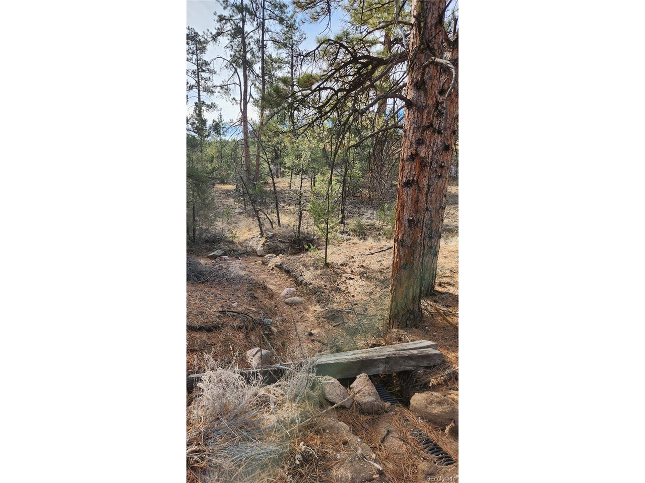 7th Trail Cotopaxi, CO 81223 - Photo 10 of 50 a bathroom with a sink